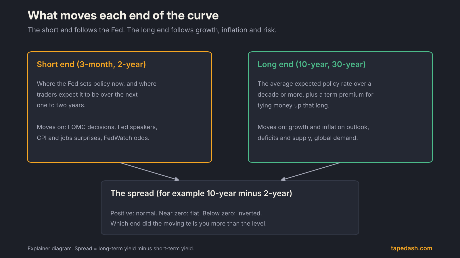 Explainer diagram of what moves the yield curve: the short end driven by Fed policy and expectations, the long end driven by growth, inflation and term premium, and the spread between them